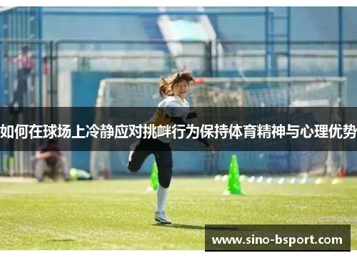 如何在球场上冷静应对挑衅行为保持体育精神与心理优势