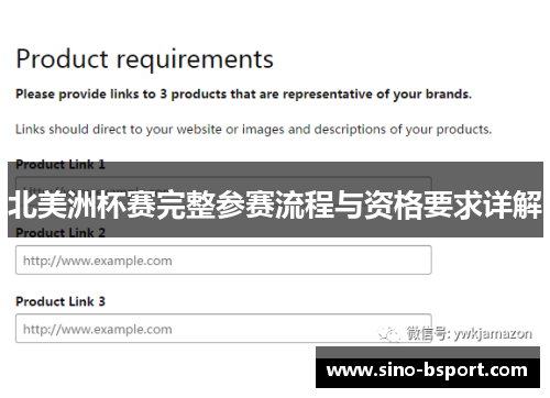 北美洲杯赛完整参赛流程与资格要求详解
