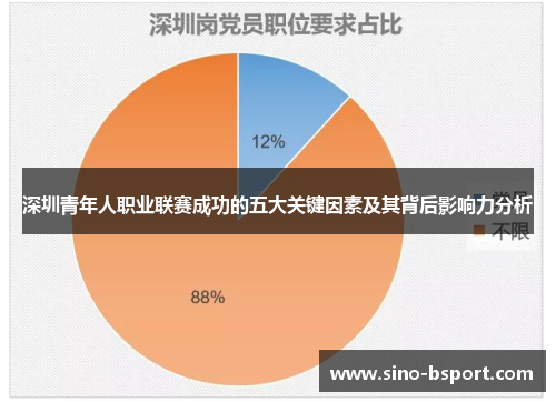 深圳青年人职业联赛成功的五大关键因素及其背后影响力分析 深圳青年人职业联赛成功的五大关键因素及其背后影响力分析