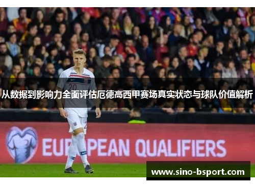 从数据到影响力全面评估厄德高西甲赛场真实状态与球队价值解析 从数据到影响力全面评估厄德高西甲赛场真实状态与球队价值解析