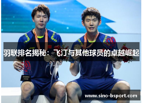 羽联排名揭秘:飞汀与其他球员的卓越崛起 羽联排名揭秘:飞汀与其他球员的卓越崛起