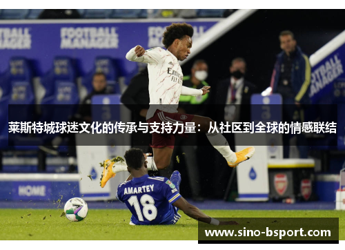 莱斯特城球迷文化的传承与支持力量：从社区到全球的情感联结