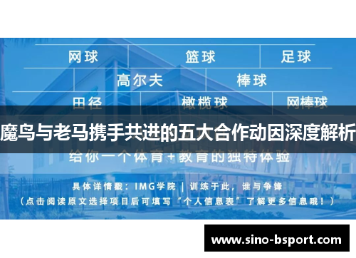 魔鸟与老马携手共进的五大合作动因深度解析