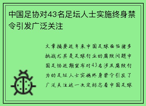 中国足协对43名足坛人士实施终身禁令引发广泛关注