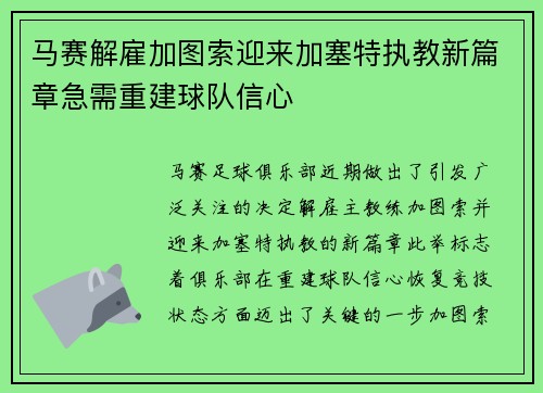 马赛解雇加图索迎来加塞特执教新篇章急需重建球队信心 马赛解雇加图索迎来加塞特执教新篇章急需重建球队信心